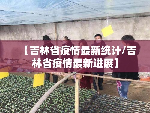 【吉林省疫情最新统计/吉林省疫情最新进展】