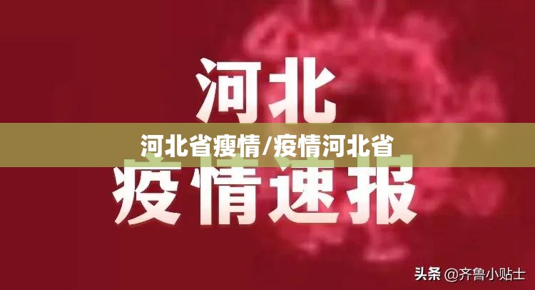 河北省瘦情/疫情河北省