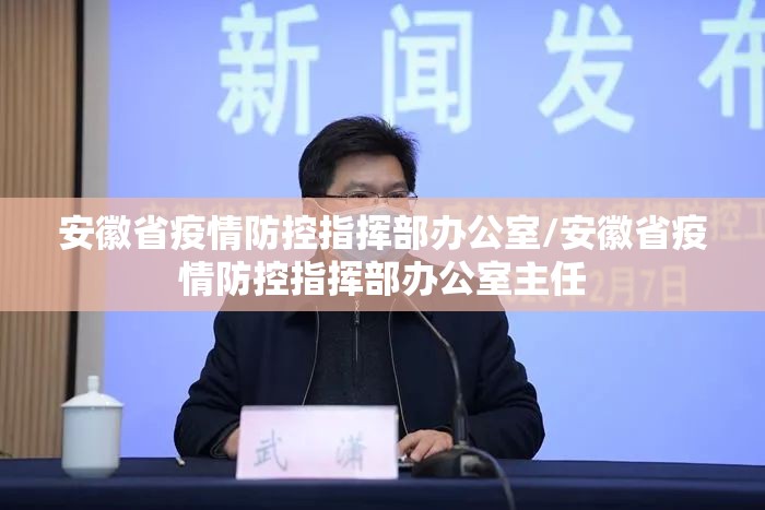 安徽省疫情防控指挥部办公室/安徽省疫情防控指挥部办公室主任