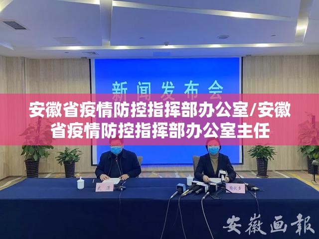 安徽省疫情防控指挥部办公室/安徽省疫情防控指挥部办公室主任