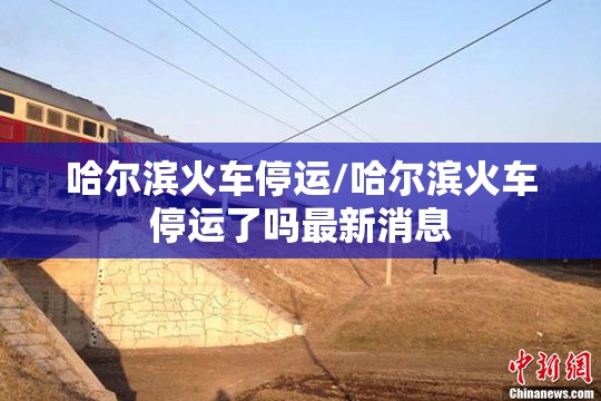 哈尔滨火车停运/哈尔滨火车停运了吗最新消息