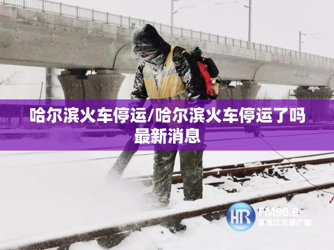 哈尔滨火车停运/哈尔滨火车停运了吗最新消息