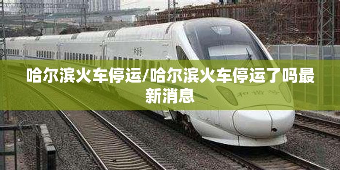 哈尔滨火车停运/哈尔滨火车停运了吗最新消息