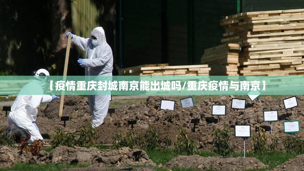 【疫情重庆封城南京能出城吗/重庆疫情与南京】