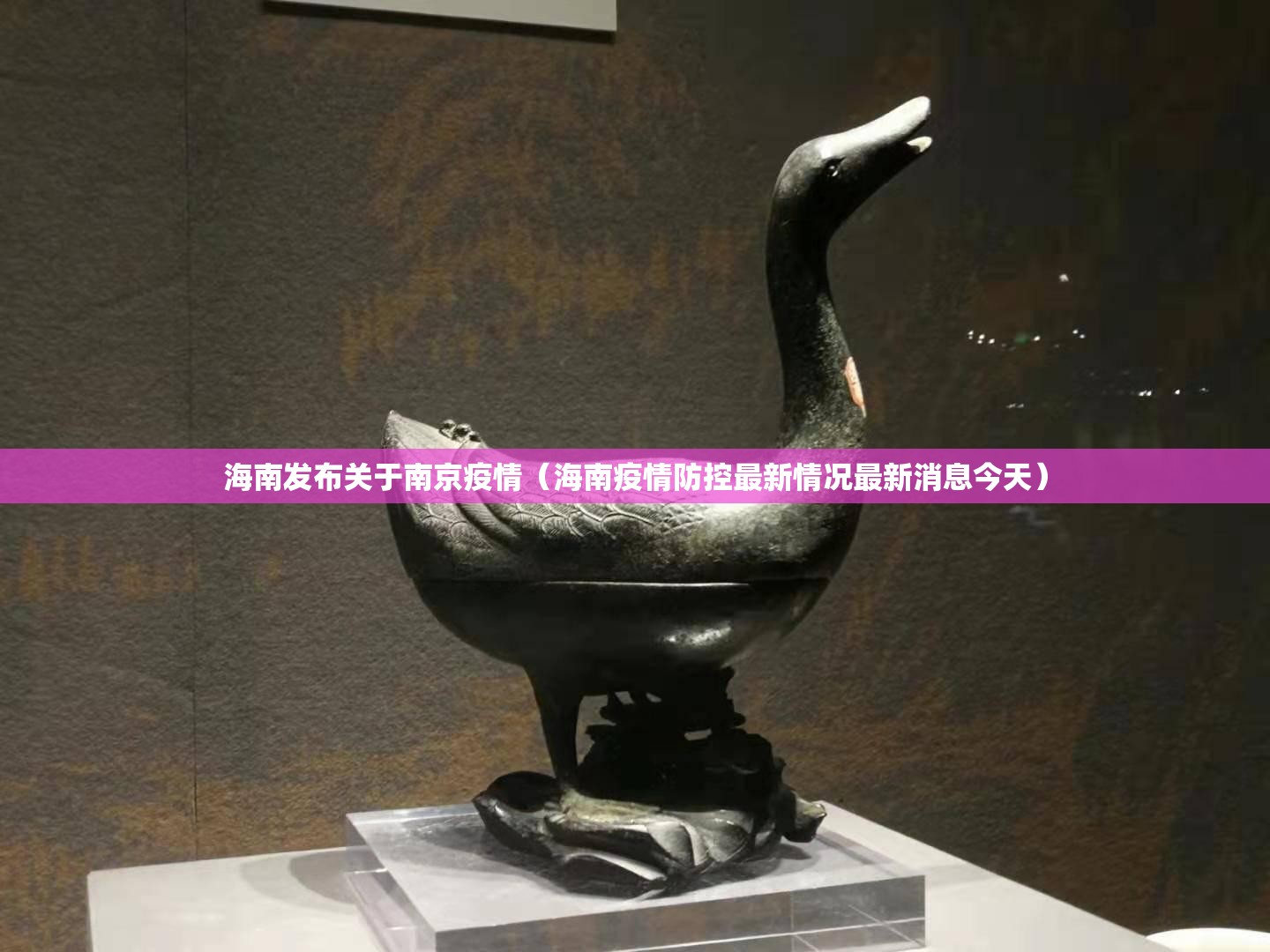 海南发布关于南京疫情（海南疫情防控最新情况最新消息今天）