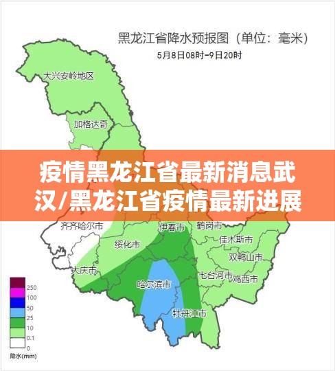 疫情黑龙江省最新消息武汉/黑龙江省疫情最新进展