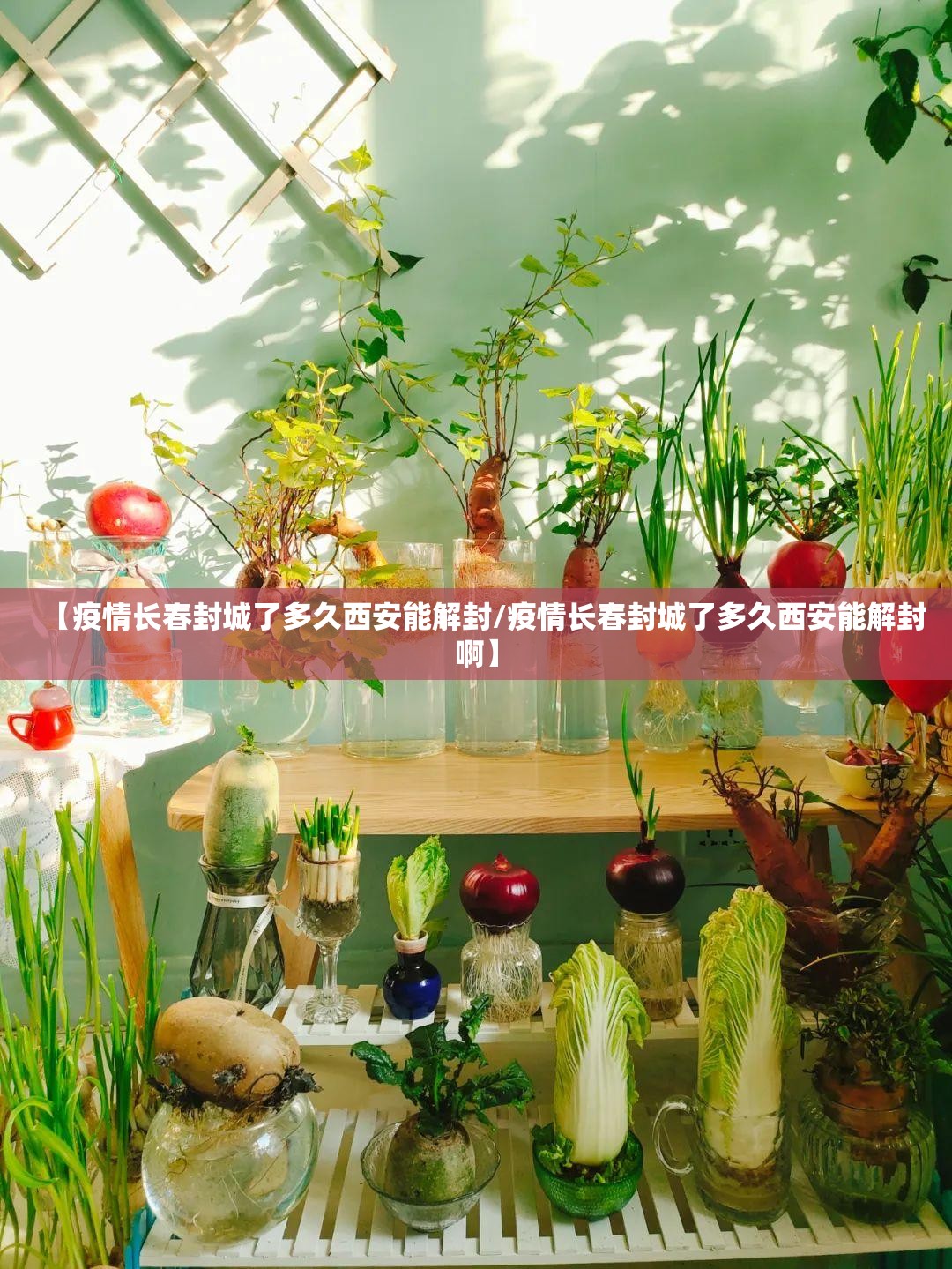 【疫情长春封城了多久西安能解封/疫情长春封城了多久西安能解封啊】