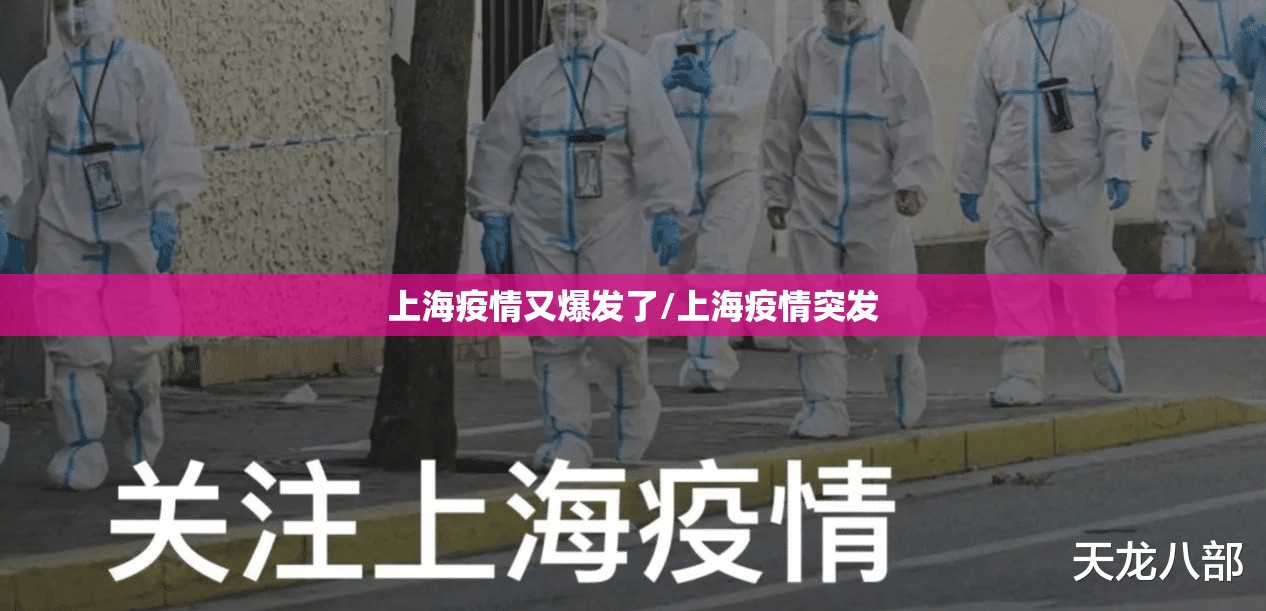 上海疫情又爆发了/上海疫情突发