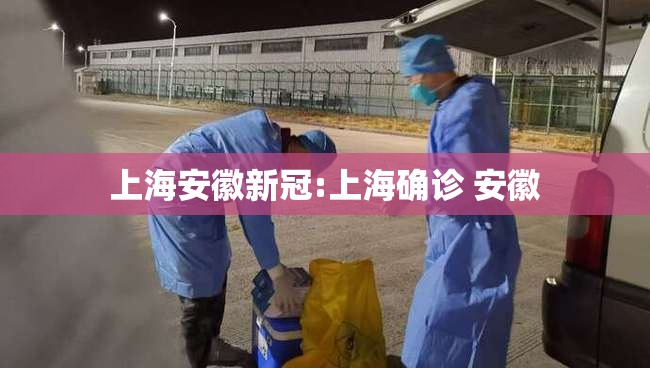 上海安徽新冠:上海确诊 安徽
