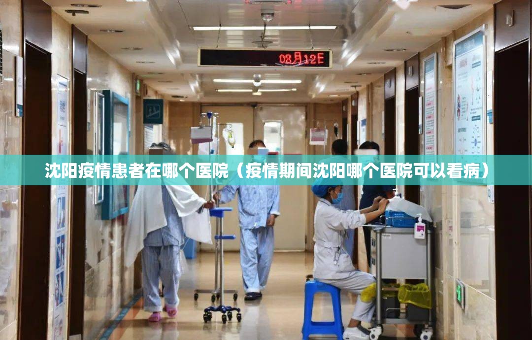 沈阳疫情患者在哪个医院（疫情期间沈阳哪个医院可以看病）
