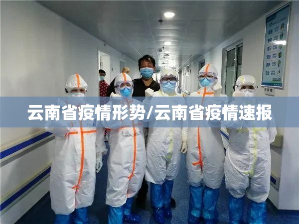 云南省疫情形势/云南省疫情速报