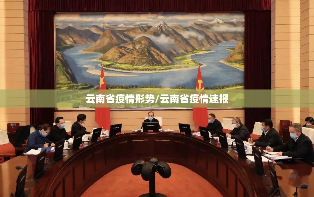 云南省疫情形势/云南省疫情速报