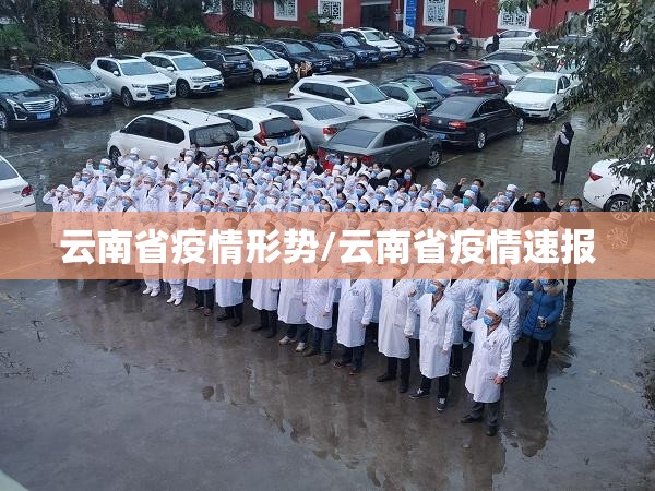 云南省疫情形势/云南省疫情速报