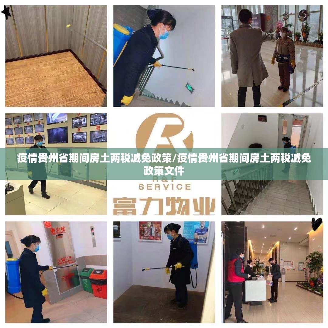 疫情贵州省期间房土两税减免政策/疫情贵州省期间房土两税减免政策文件