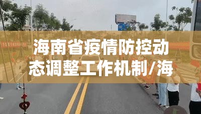 海南省疫情防控动态调整工作机制/海南省疫情防控措施