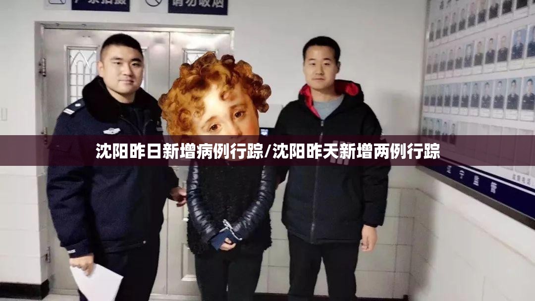 沈阳昨日新增病例行踪/沈阳昨天新增两例行踪