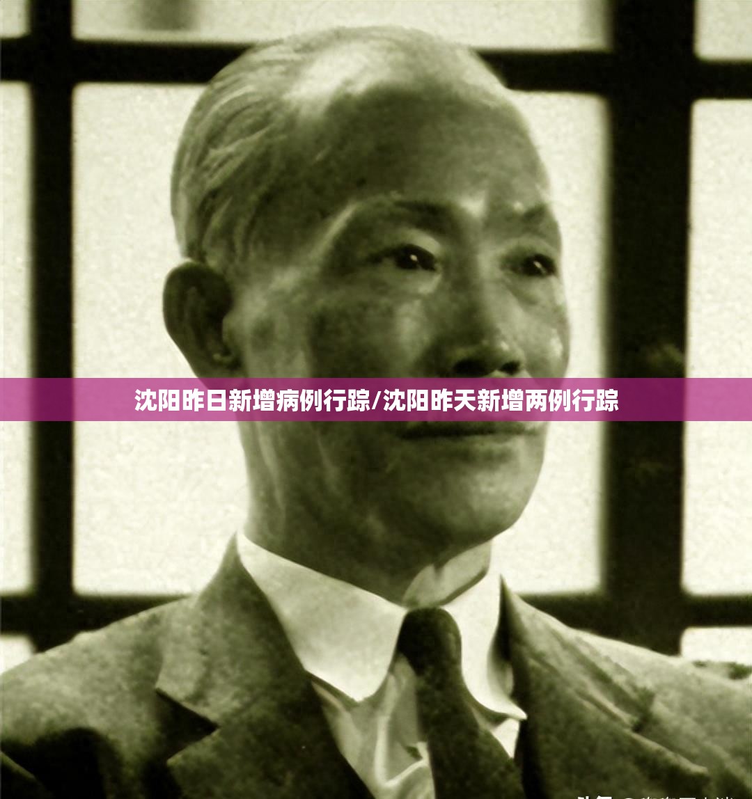 沈阳昨日新增病例行踪/沈阳昨天新增两例行踪
