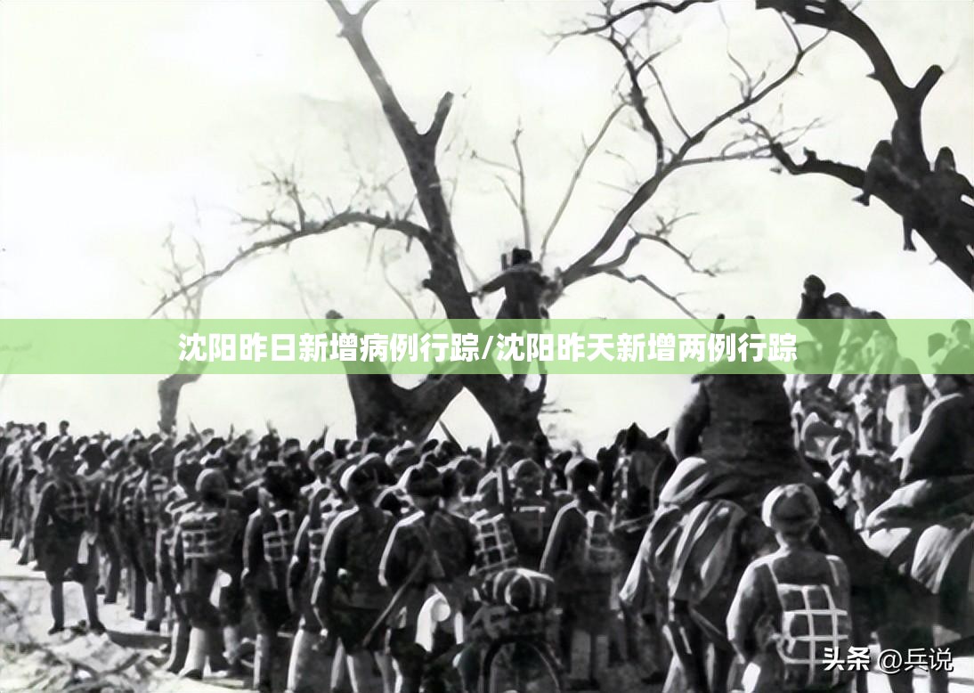 沈阳昨日新增病例行踪/沈阳昨天新增两例行踪