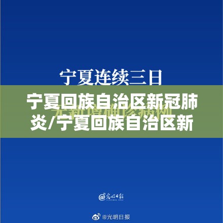 宁夏回族自治区新冠肺炎/宁夏回族自治区新型冠状病毒
