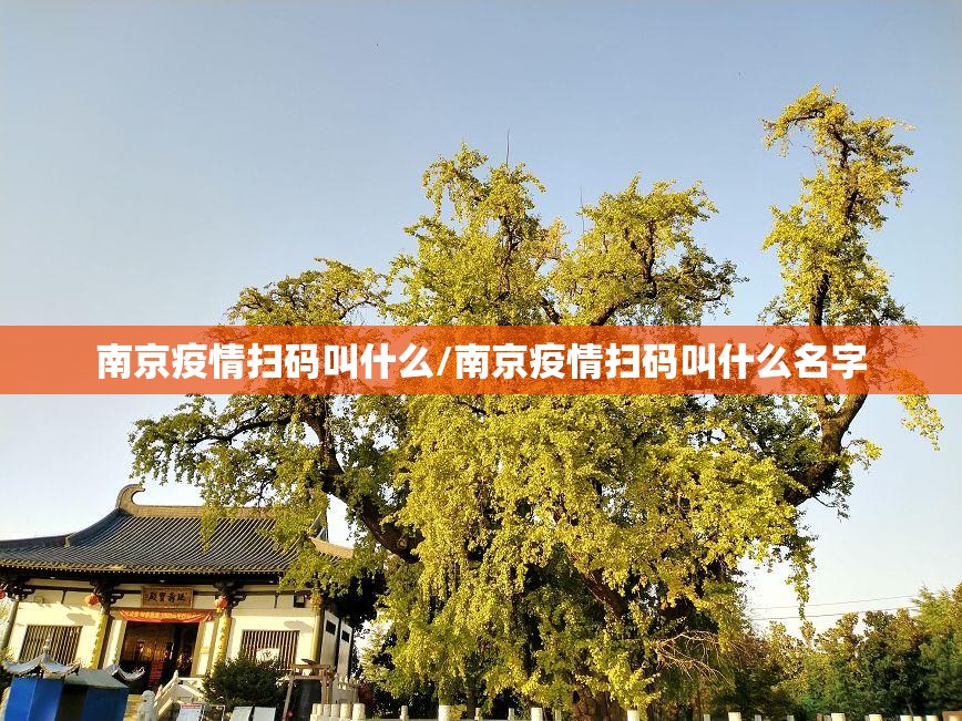 南京疫情扫码叫什么/南京疫情扫码叫什么名字