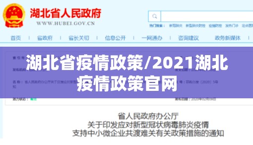 湖北省疫情政策/2021湖北疫情政策官网