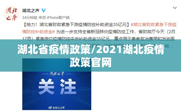 湖北省疫情政策/2021湖北疫情政策官网