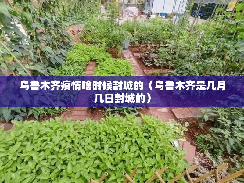 乌鲁木齐疫情啥时候封城的（乌鲁木齐是几月几日封城的）