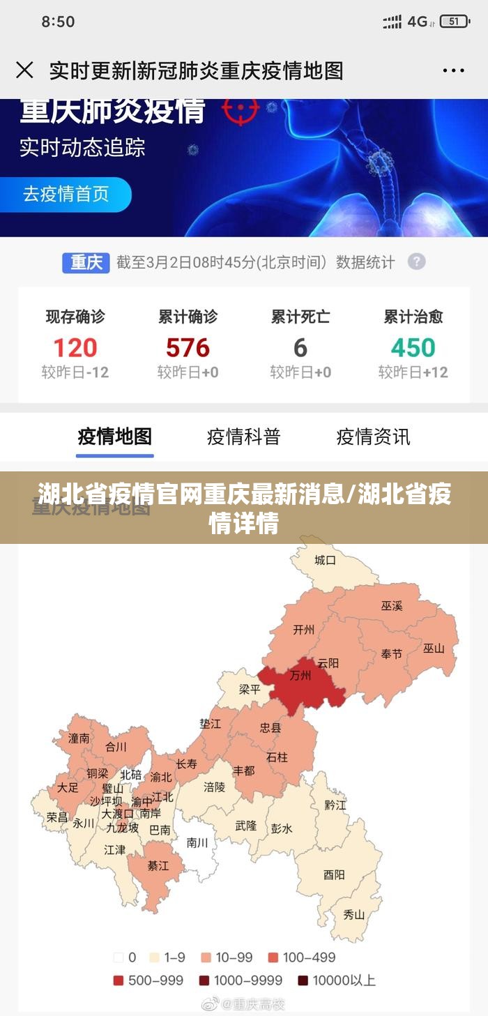 湖北省疫情官网重庆最新消息/湖北省疫情详情