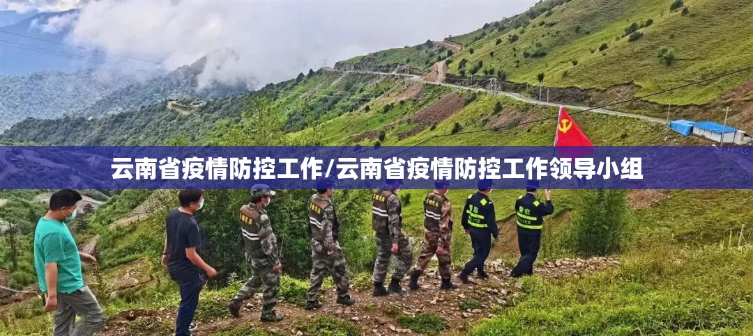 云南省疫情防控工作/云南省疫情防控工作领导小组
