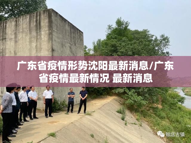 广东省疫情形势沈阳最新消息/广东省疫情最新情况 最新消息