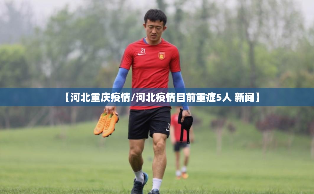 【河北重庆疫情/河北疫情目前重症5人 新闻】