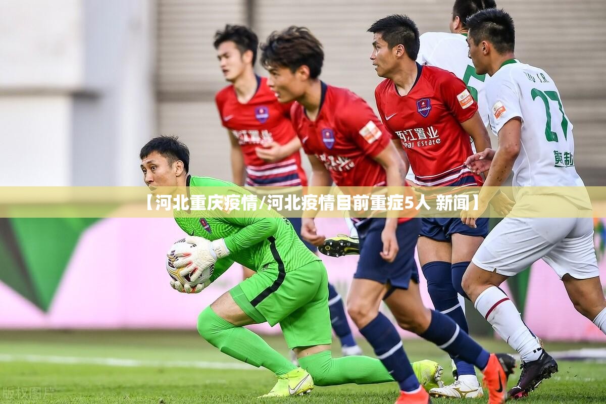 【河北重庆疫情/河北疫情目前重症5人 新闻】