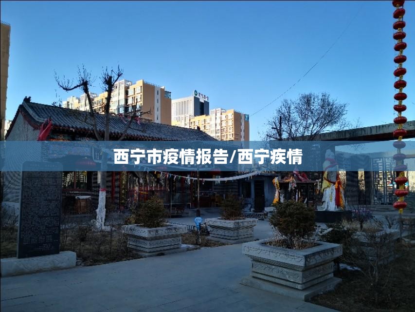 西宁市疫情报告/西宁疾情