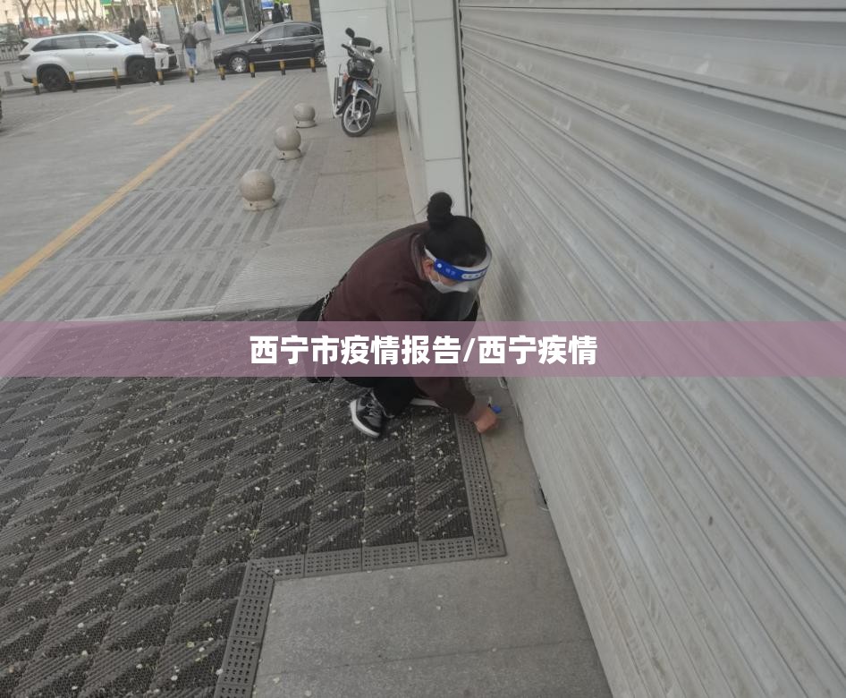 西宁市疫情报告/西宁疾情