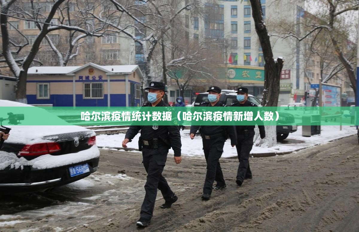 哈尔滨疫情统计数据（哈尔滨疫情新增人数）
