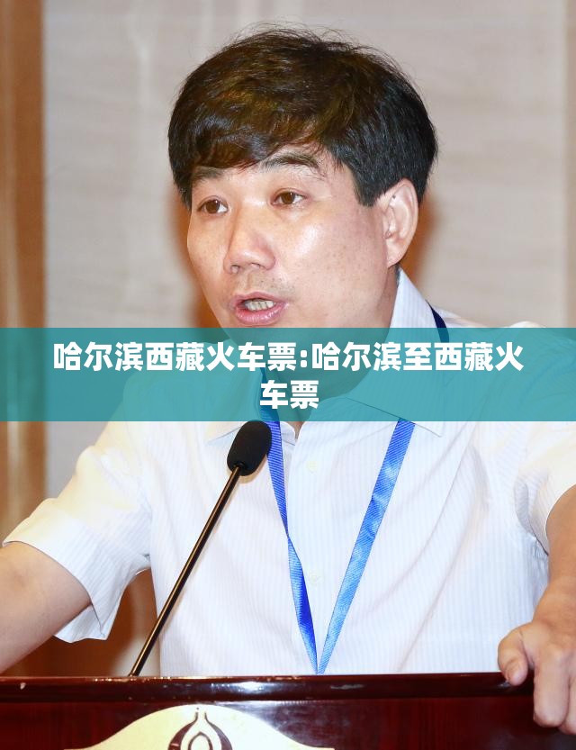 哈尔滨西藏火车票:哈尔滨至西藏火车票