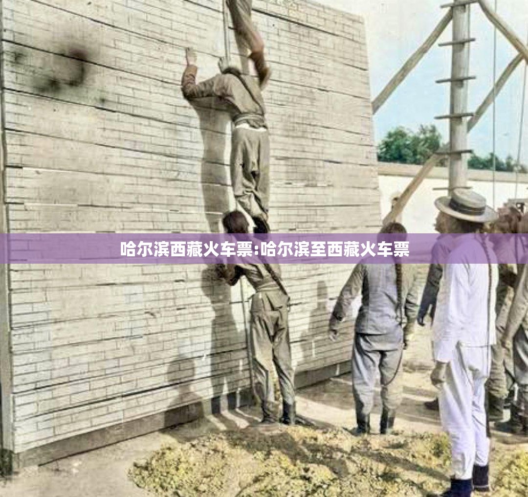 哈尔滨西藏火车票:哈尔滨至西藏火车票