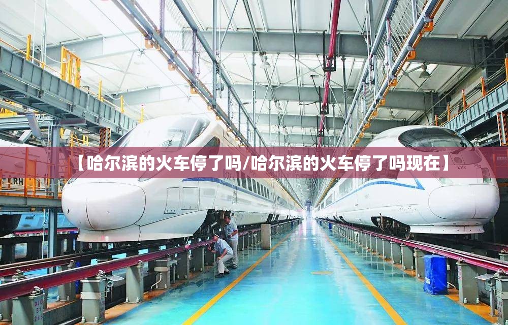 【哈尔滨的火车停了吗/哈尔滨的火车停了吗现在】
