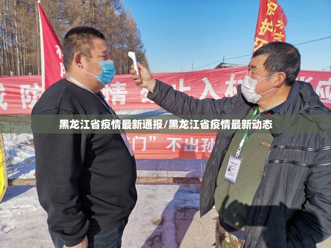 黑龙江省疫情最新通报/黑龙江省疫情最新动态