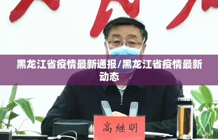 黑龙江省疫情最新通报/黑龙江省疫情最新动态