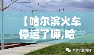 【哈尔滨火车停运了嘛,哈尔滨火车停了吗?】