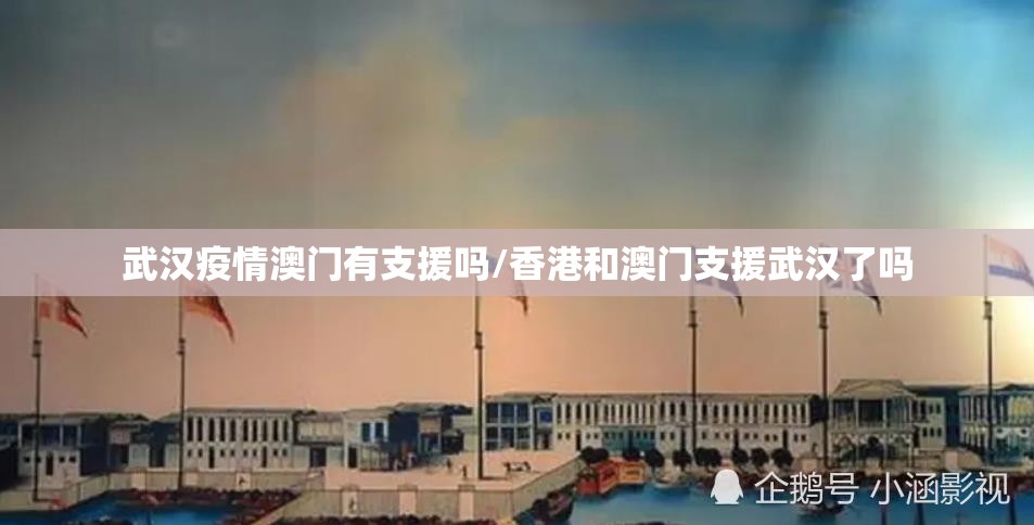武汉疫情澳门有支援吗/香港和澳门支援武汉了吗