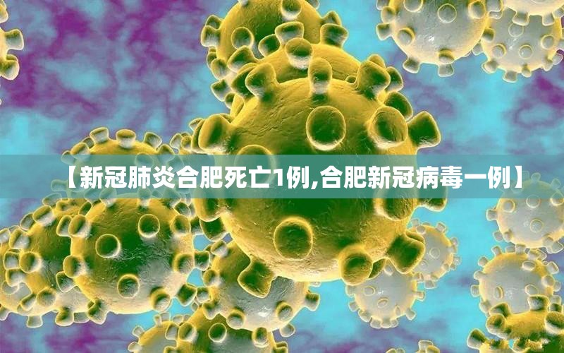 【新冠肺炎合肥死亡1例,合肥新冠病毒一例】