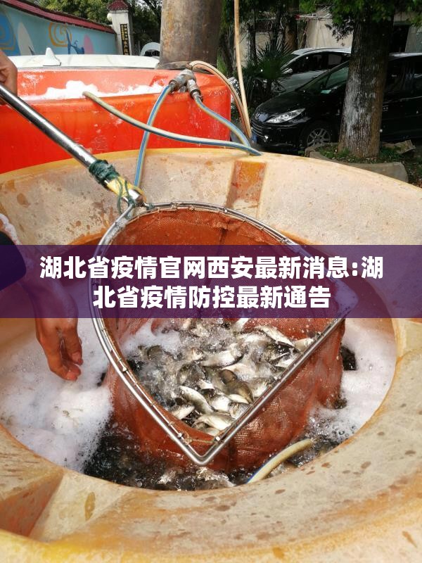 湖北省疫情官网西安最新消息:湖北省疫情防控最新通告