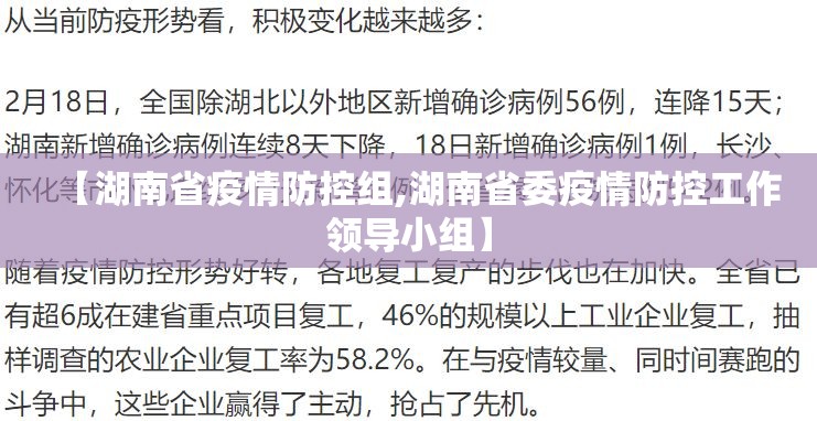 【湖南省疫情防控组,湖南省委疫情防控工作领导小组】