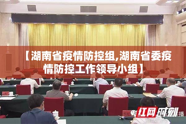 【湖南省疫情防控组,湖南省委疫情防控工作领导小组】