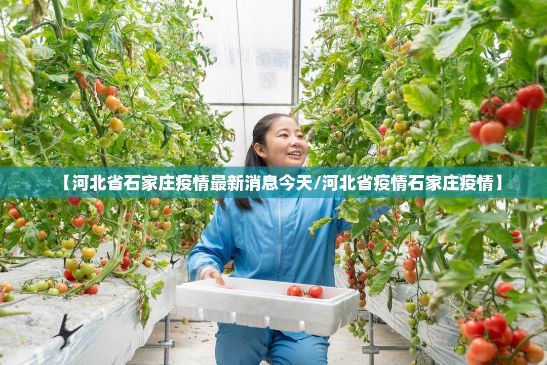 【河北省石家庄疫情最新消息今天/河北省疫情石家庄疫情】