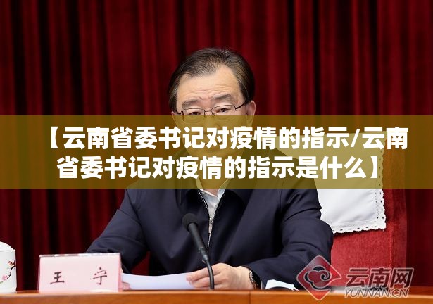【云南省委书记对疫情的指示/云南省委书记对疫情的指示是什么】