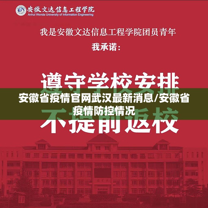安徽省疫情官网武汉最新消息/安徽省疫情防控情况