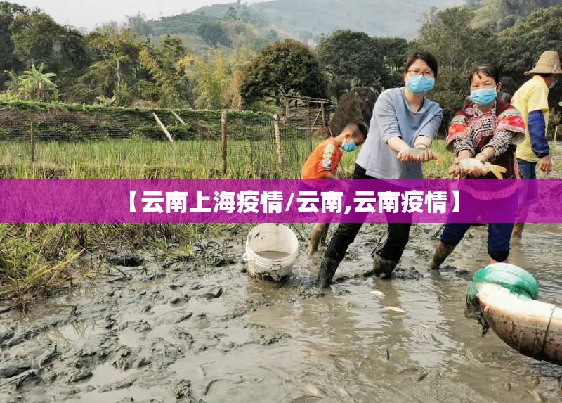 【云南上海疫情/云南,云南疫情】